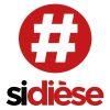 FIME_Permanent_20_Production_Communication_Partenaire_Sidiese_Logo2_201009